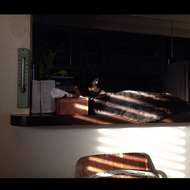 jnkaiさんの実例写真