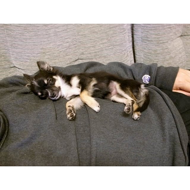 実例写真