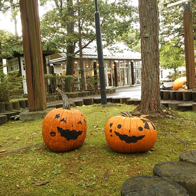 実例写真