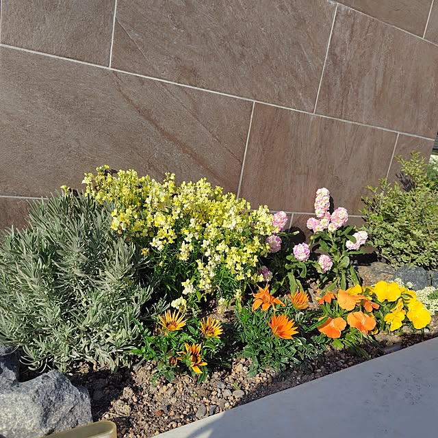 ayan-green.さんの部屋