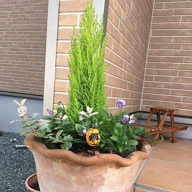 megu12さんの実例写真