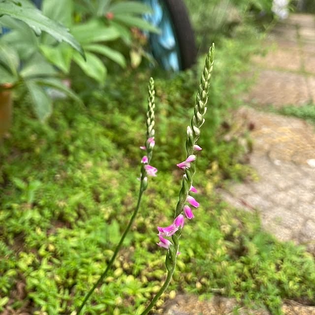 min_nimさんの部屋