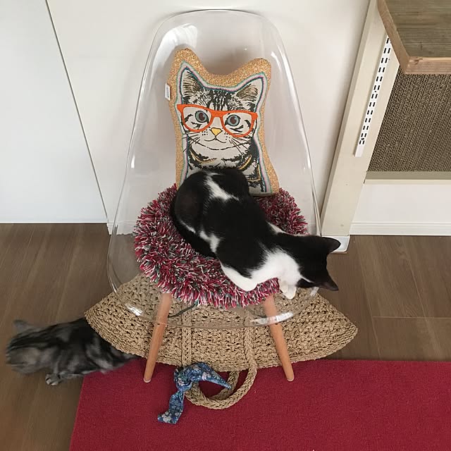 mikomaruさんの実例写真
