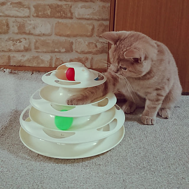 noritamaさんの実例写真