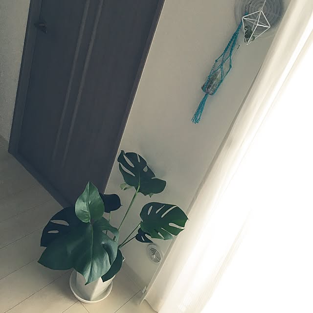 nondokさんの実例写真