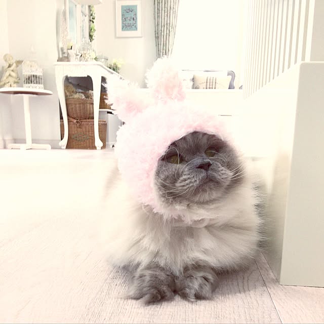 yuchiさんの実例写真