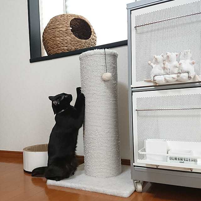 maikyさんの実例写真