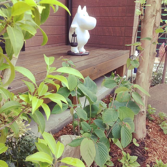 miiさんの実例写真