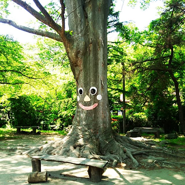 tomokaさんの実例写真