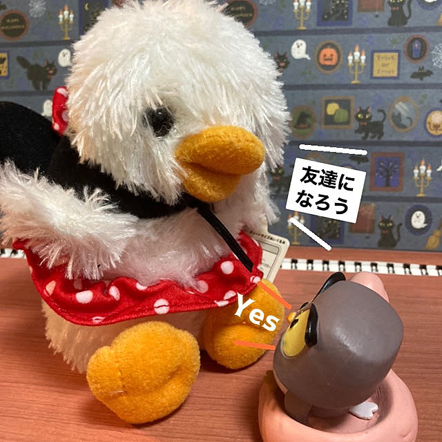manduonmaさんの部屋