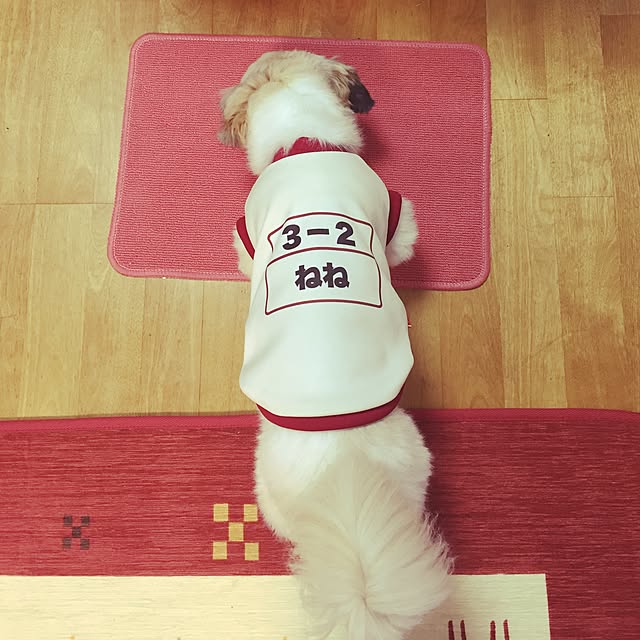 Kanamiさんの実例写真