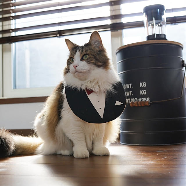 furitamaさんの実例写真