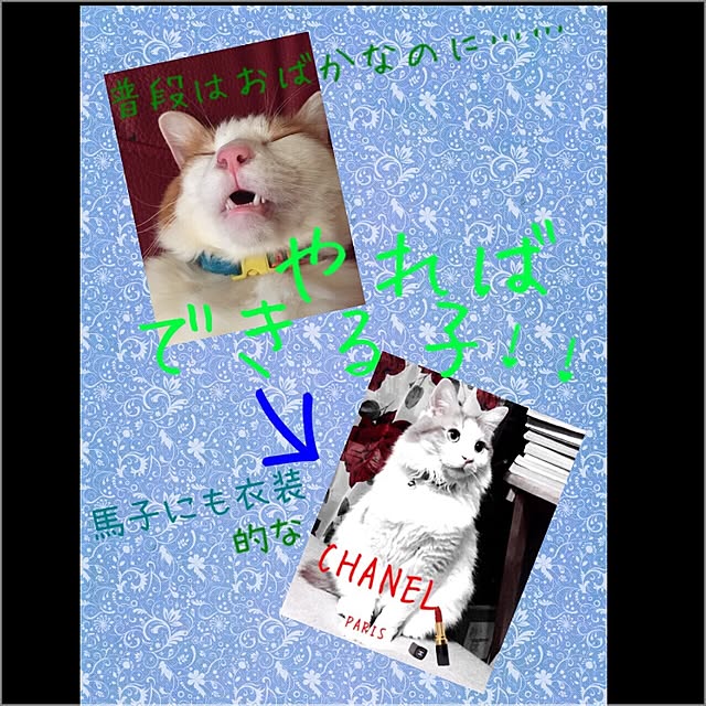 maria.rさんの実例写真