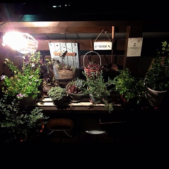 accoさんの実例写真