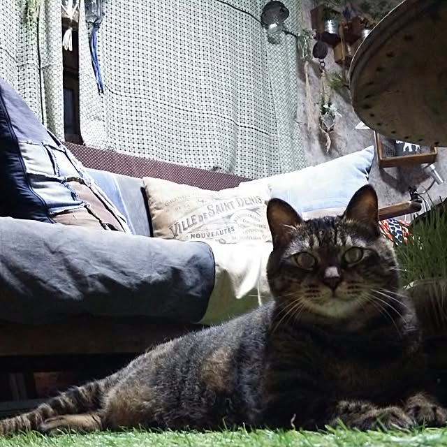 kuroさんの実例写真