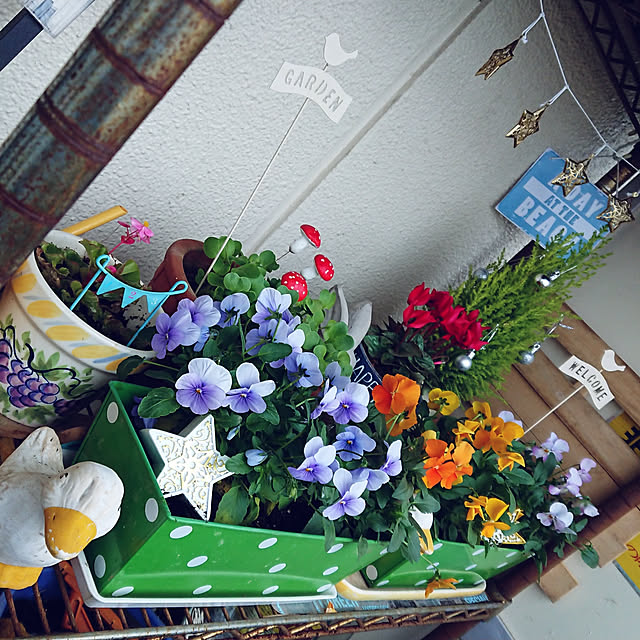 yokomokoさんの実例写真