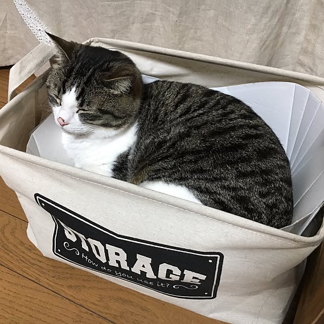 Rumiさんの実例写真