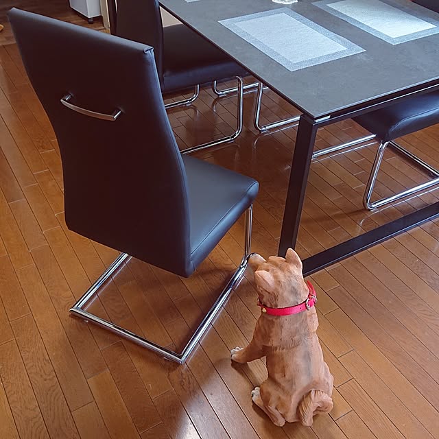 NOAHさんの部屋
