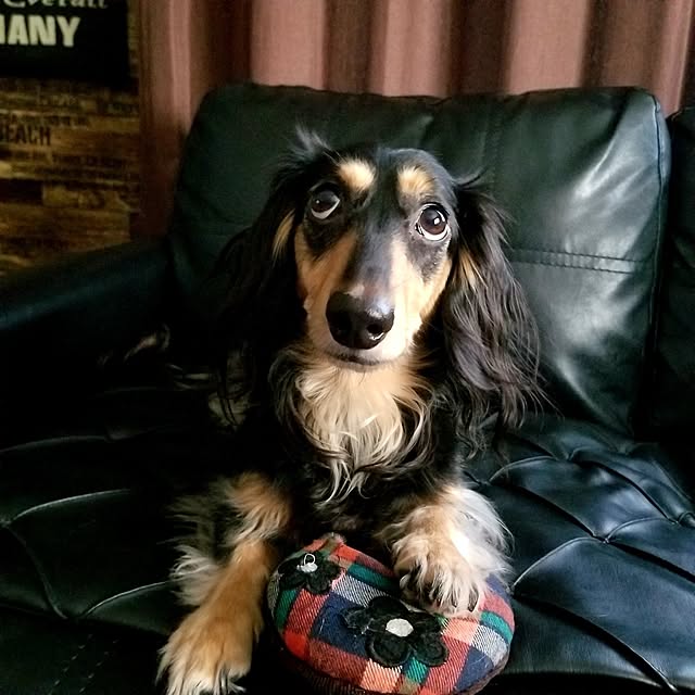 momozouさんの実例写真