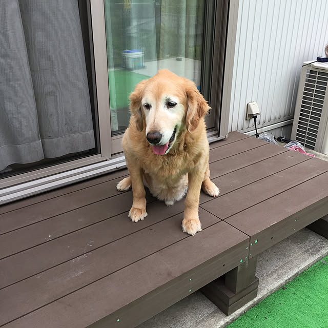 mihoさんの実例写真