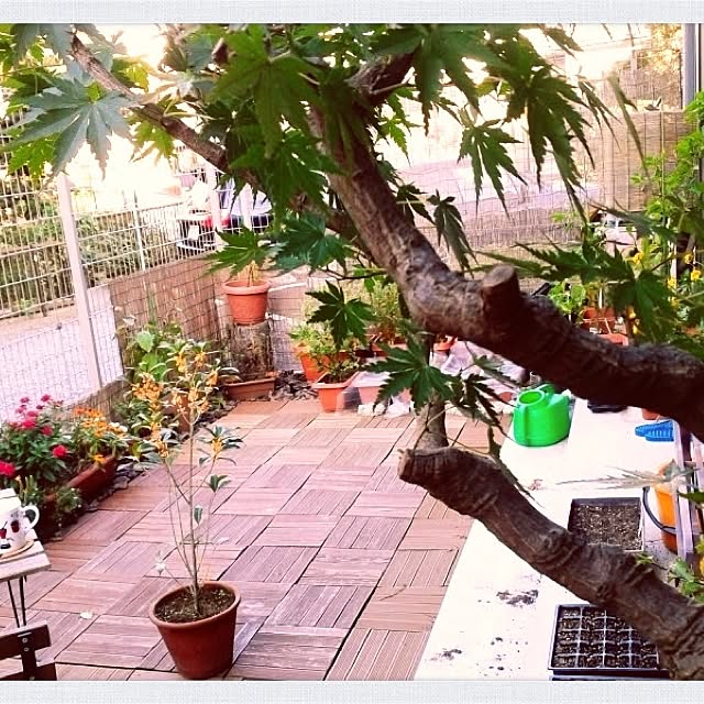 in_aus_blifeさんの実例写真