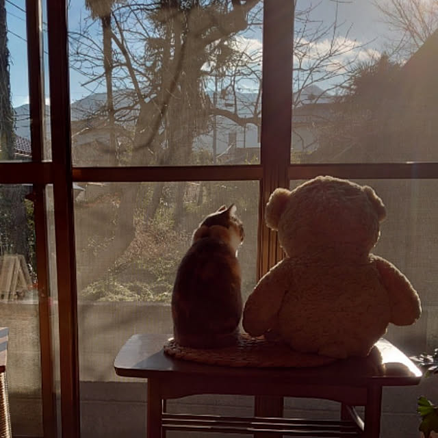 fukuさんの実例写真