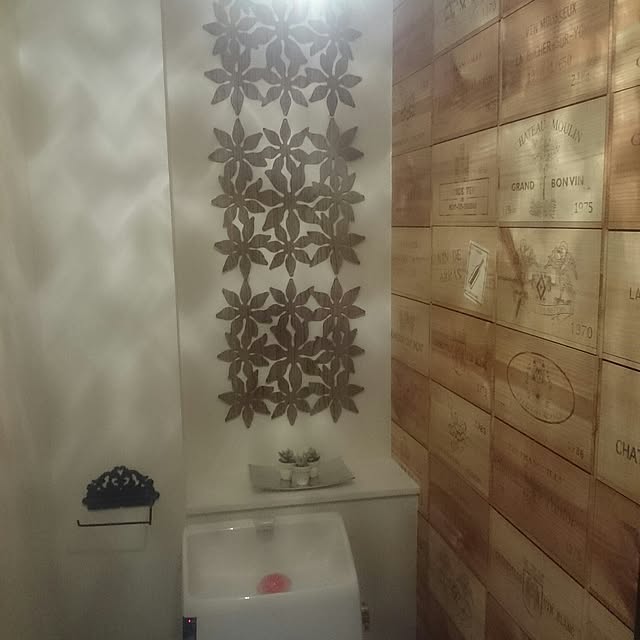 hoshiさんの実例写真