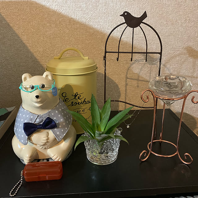 Samさんの実例写真