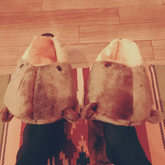 HaLさんの実例写真