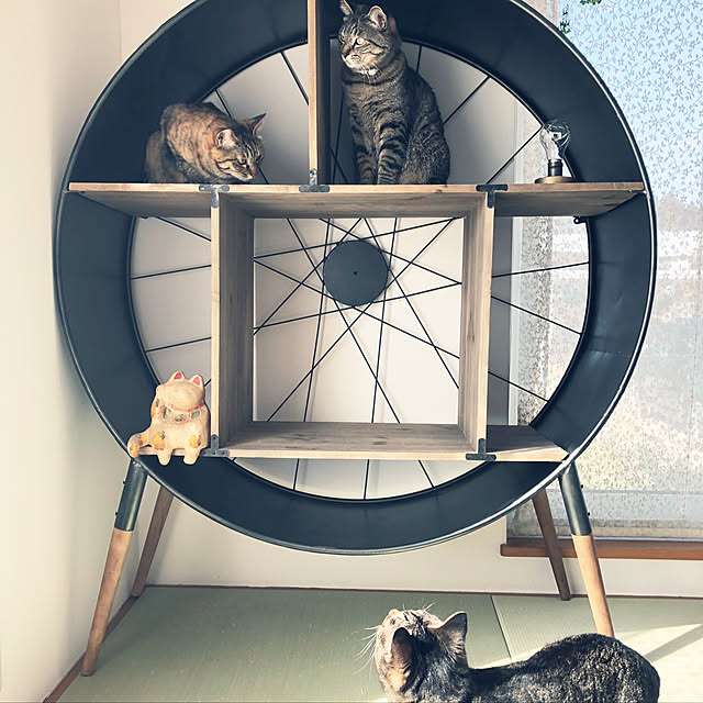 beemer2さんの実例写真