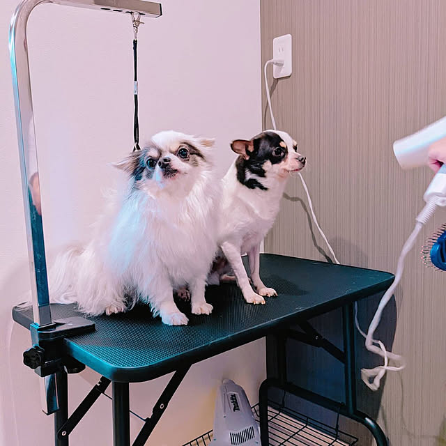 bjhorusさんの実例写真