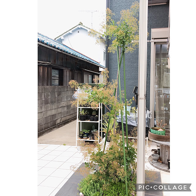 craneさんの実例写真