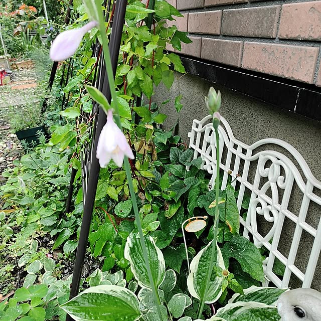 kiraさんの部屋