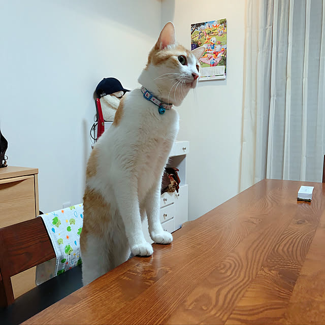 hisasaさんの実例写真