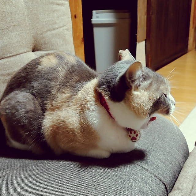 fukuさんの実例写真