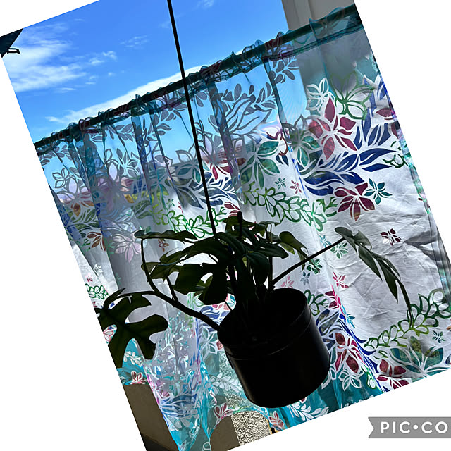 syutmmさんの実例写真