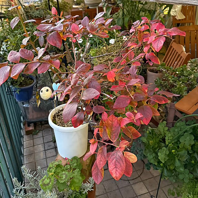 Aqettyさんの部屋