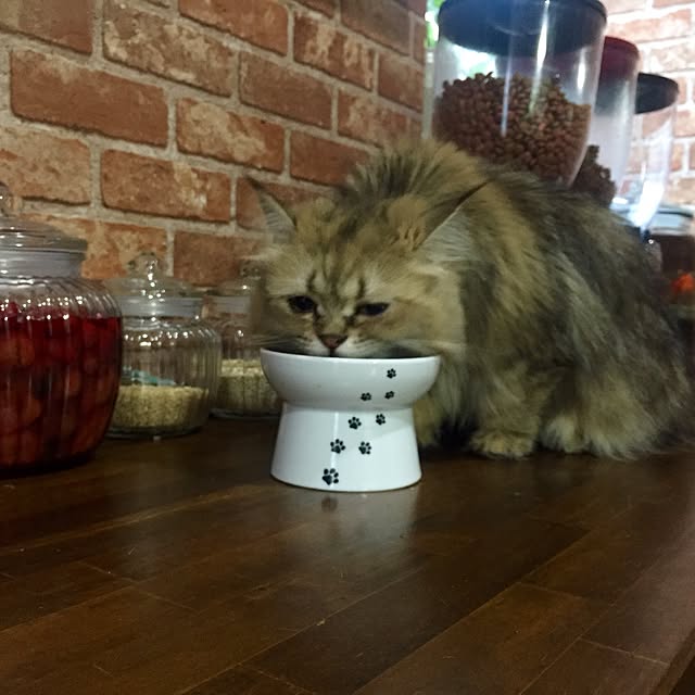 butachanさんの実例写真