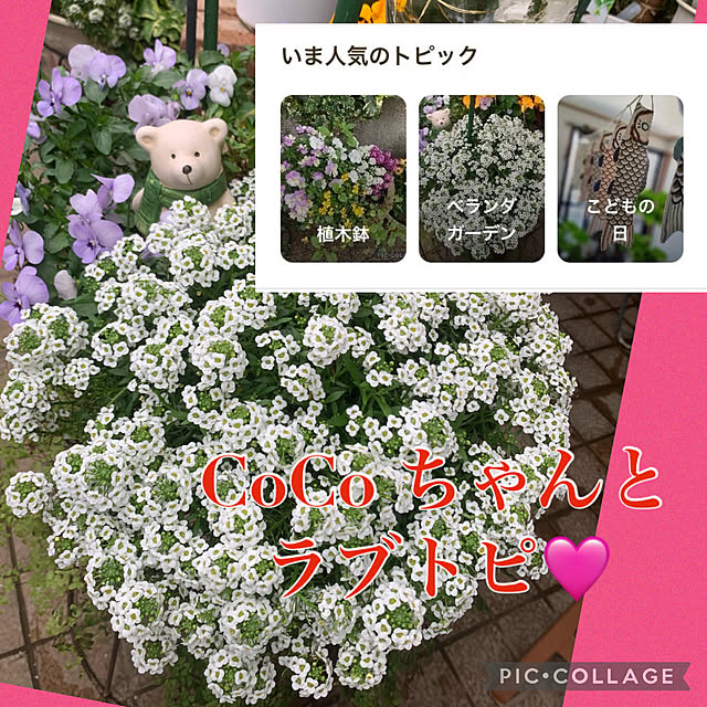 Aqettyさんの実例写真