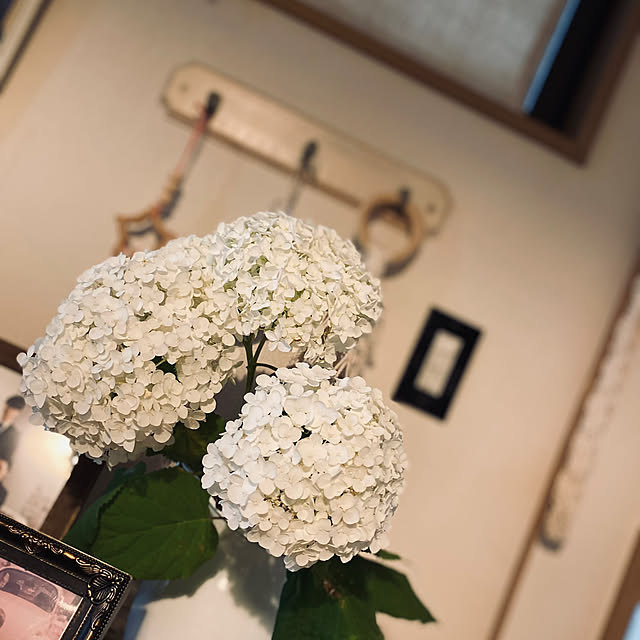 t_n.homeさんの部屋
