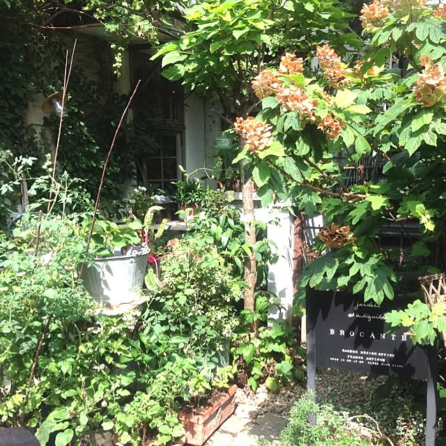 edenさんの実例写真