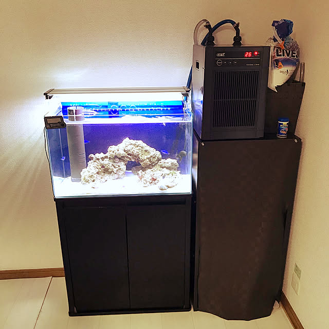 hekokimusuさんの実例写真
