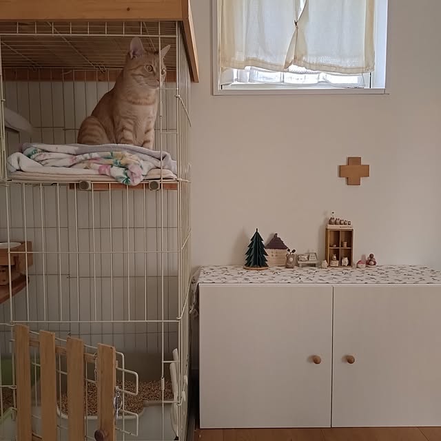 mayutan.さんの部屋