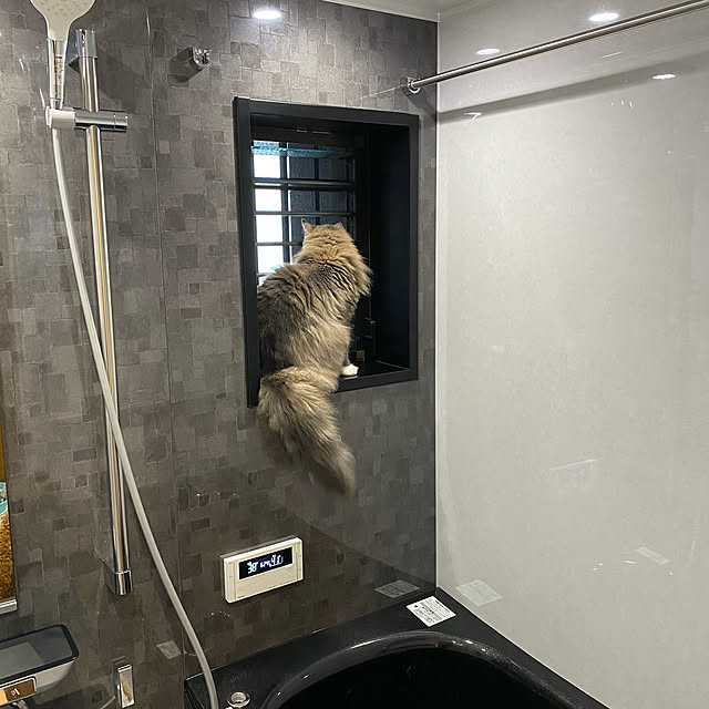nyankoさんの実例写真