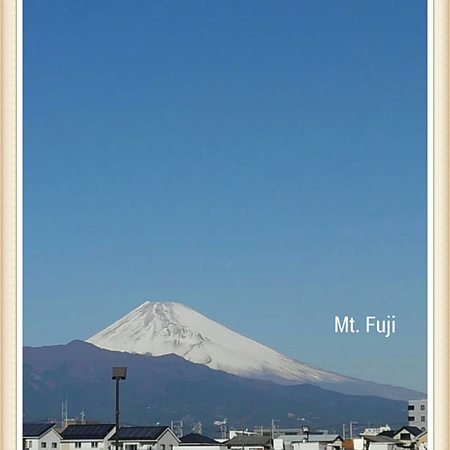 実例写真