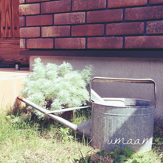 umaamさんの実例写真