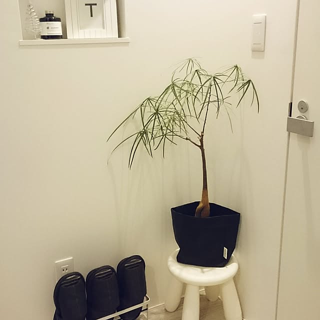 ma0814さんの実例写真