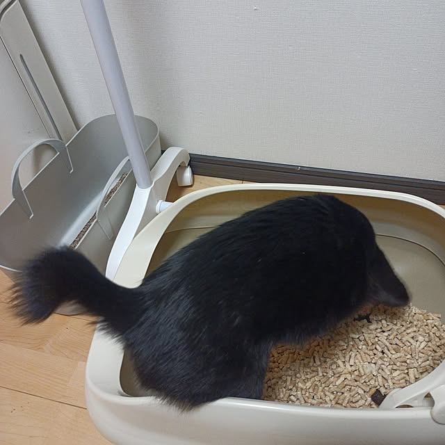 anayoikoさんの実例写真