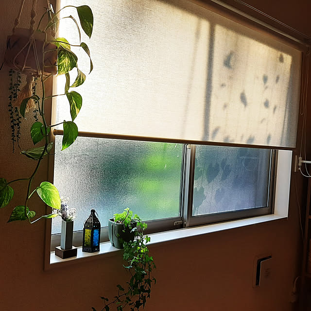 HSさんの実例写真