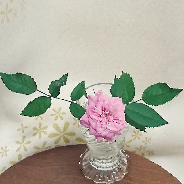 kogumaさんの実例写真